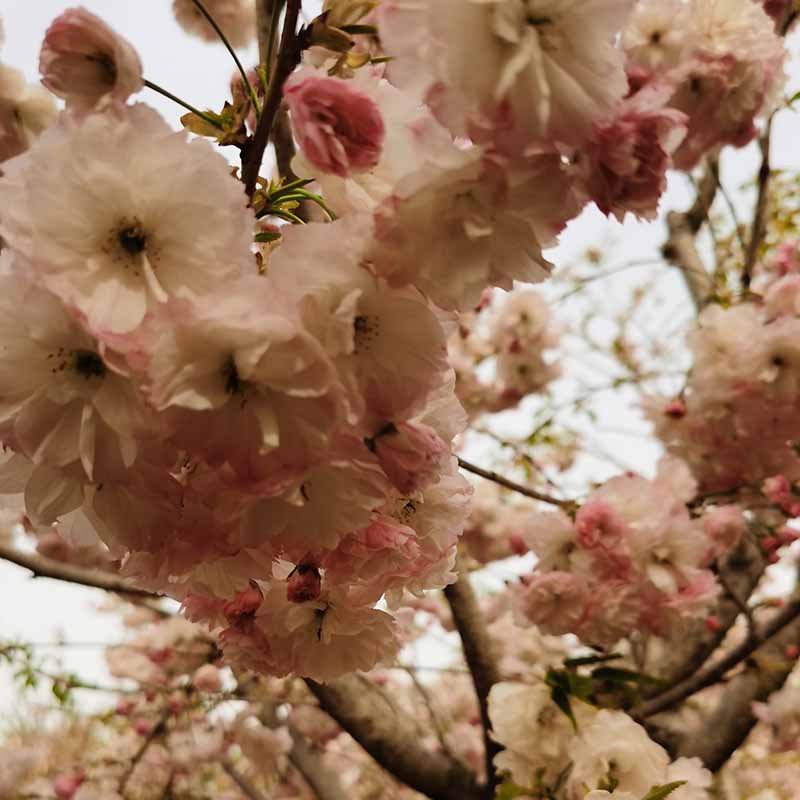 微信图片_20230818145519 副本.jpg