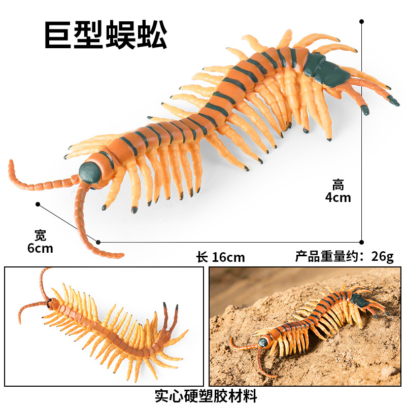 Ciempiés gigantes M-3282