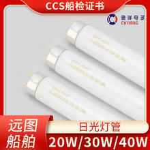 ����T5/T8�ɹ����110V220V�չ����8W15W18W20W30W40W590MM580MM