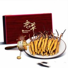 Ұx؛YbͶYɲaB^ͶYຣخa