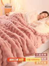 �p���p����ë�që̺�ﶬ���Ӻ�ӽq�w̺ɺ���q�A��̺�ӷ��o늱���