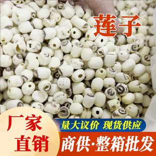 ������؛ɏ�Ӄ���ɢ�b10���؛�a��������؛�������l˽�l����