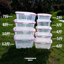 ��ժ�@��ݮ�@���wˮ���@��÷����ʽˮ����ɳ�ǽ۳��ж������Ͽ�