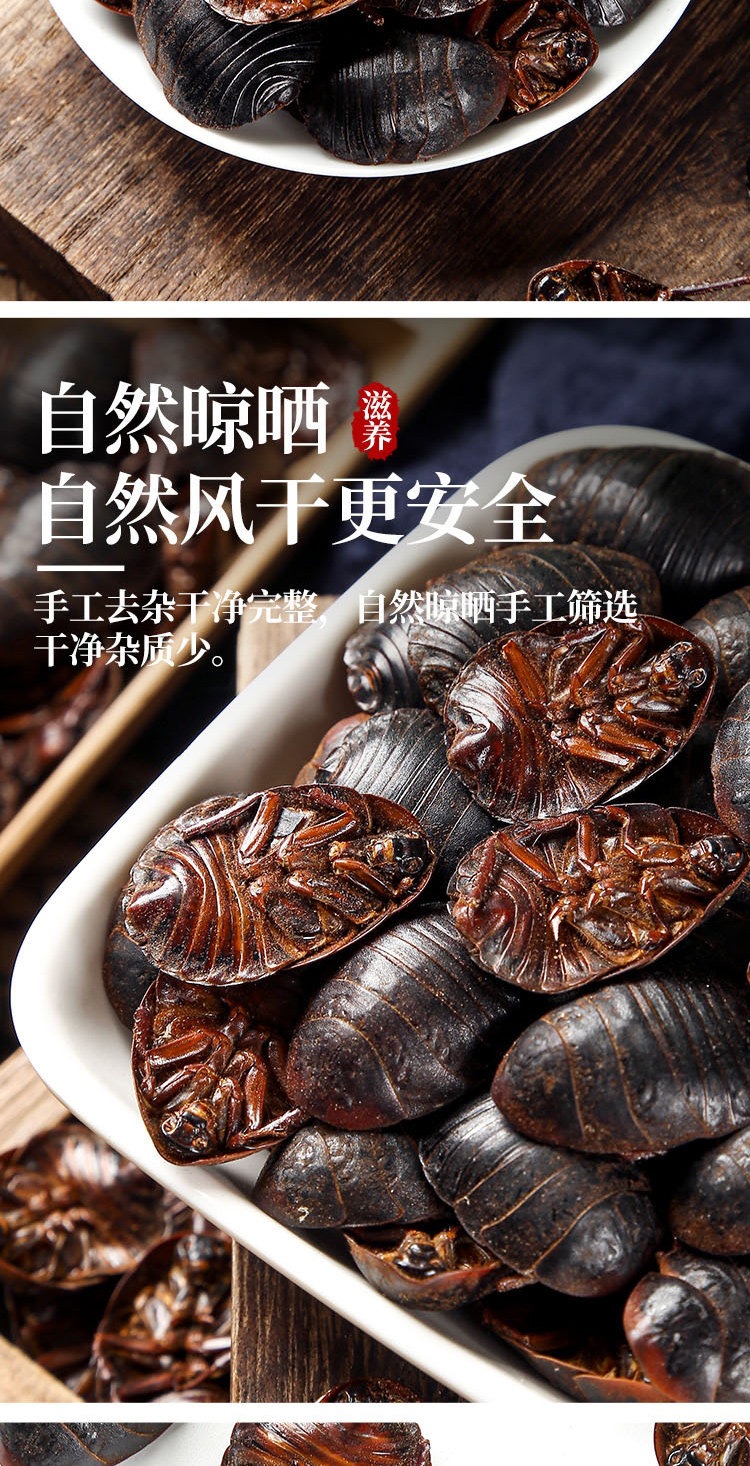 Tu Yuan Dried Ground Beetle 土元 Whole Insect TCM Herb 500g Traditional Decoction Ingredient quality and texture