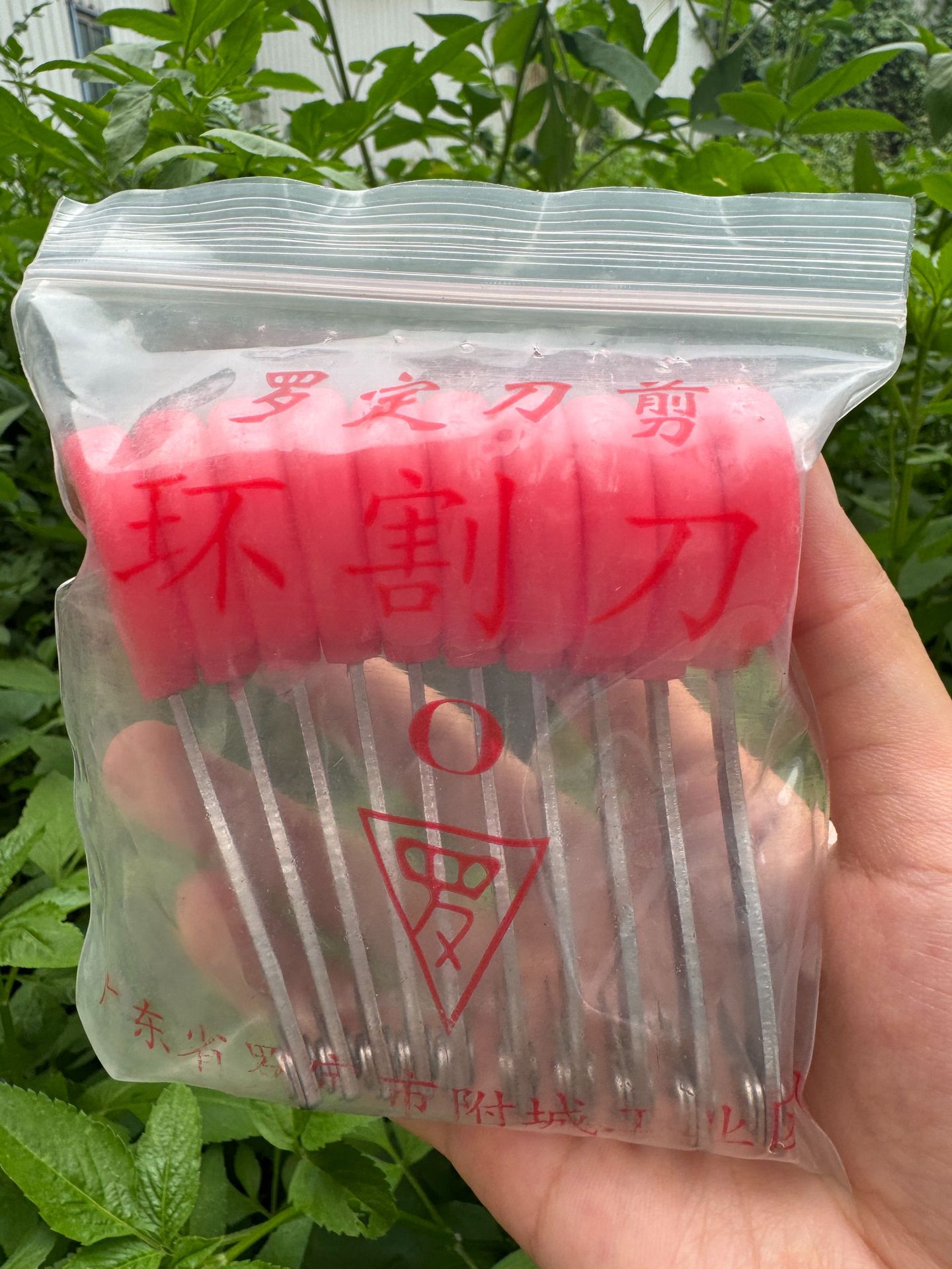 微信图片_20240822190709