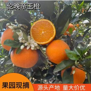 ���Ӯa��ֱ�l���w���������Ȯ�����Ƥ���r��֭����ЋDˮ���Fժ