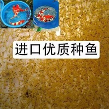 �\��ˮ���~�缃�N�ձ��t���Ѻʹ�����ɫ�p���^�p�~��ˮ�\��С���~