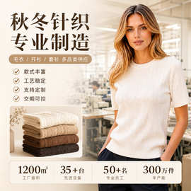 源头工厂现货批发秋冬新款麻花纹理圆领短袖女士针织毛衣