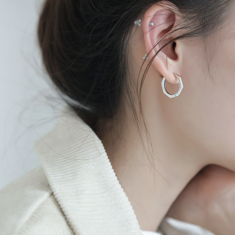 New Geometric Hexagonal Earrings, Simple Elegant Design, Niche Stylish, Women's High-End Earrings, Internet Celebrity Trendy People