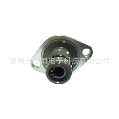 Factory Straight Hair 294200 Oil pump, nozzle