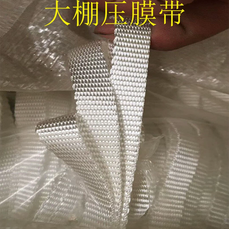 Промышленная лента для прессования полиэфирной нити для теплиц, устойчивая к вытягиванию, Антивозрастная высокотемпературная линия прессования овощей в теплицах