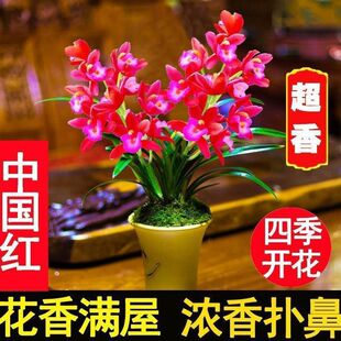 ���F�������m�����ԾGֲ���m���mޥ�mī�m���ܱ��讔����2026��