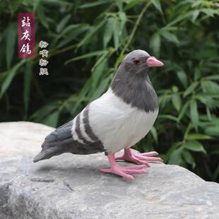 �������Ӕ[��������c���ߺ�ƽ��ģ������ë���յ��߈@�֔[��