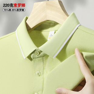 ���_�ȶ���t���������|������POLO�������з��I�F����e�����w��