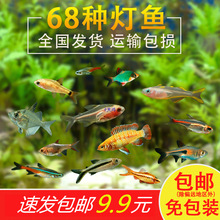 �t�G��С�͟����~�Ꭷ�^�p�~��ˮ��ɏ���~���w�~��ȸ�~Ⱥ���~���]