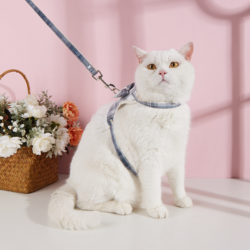 Nuevo gato Chaleco de tracción cuerda anti-rotura pequeño perro oso de peluche Bomei correa para el pecho vestido de princesa ropa