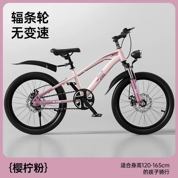 Sakura Pink-Single Speed Spoke Wheel