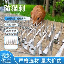 ����̲��P�סլС�^�����e����؈�F�̇��ڠ�������ᔷ��������o