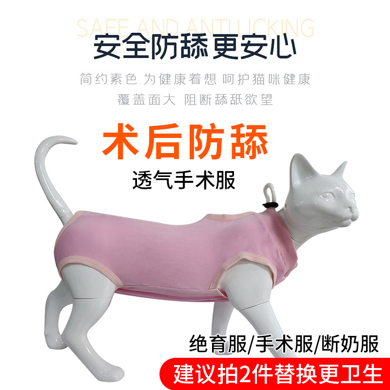 고양이를 위한 핑크