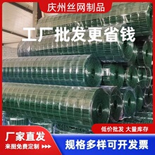 现货金属护栏网养殖鸡鸭鹅围栏网包胶铁丝网跨境PVC硬塑荷兰网