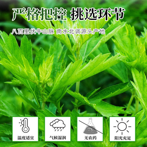 Bulk mugwort essential oil balm mugwort essential oil summer mugwort leaf mosquito repellent cooling balm Qiai drive solid balm for sale gift