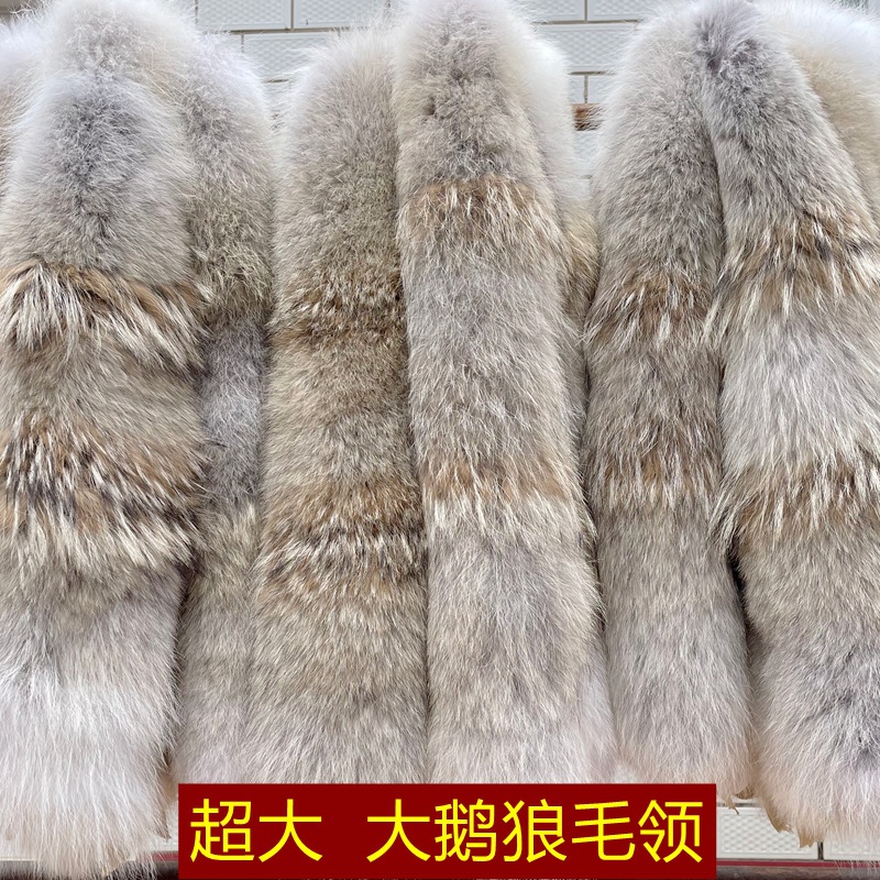 超大16厘米狼毛领