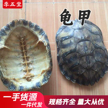 龟甲中药材批发规格齐全血龟甲现货供应龟板干净无硫500克