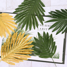 �¿�羳����ֲ���ؙ��~ �Ҿ��b廨ֲ��������Ɍ�����G��