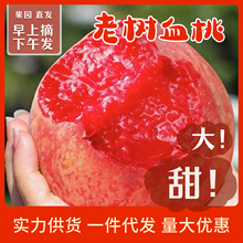 Ѫ��  �t��Ѫ�z��ѩ�Fժ�F�l���rˮ��������ɰ�t��ë��������l