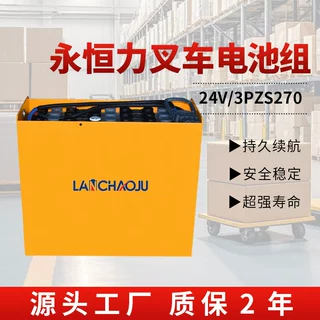 永恒力EJC212/ERC212站驾托盘堆垛车电瓶3PZS 24V270AH铅酸蓄电池