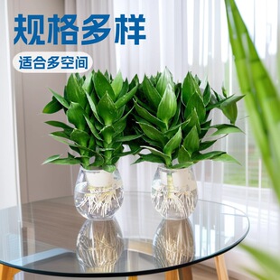 ˮ�������k���҃ȾGֲ�������Ի��ܿ͏d�辰ֲ��ˮ�B�^����