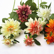 2^շ滨ٻcӰǌbҾӻcbS