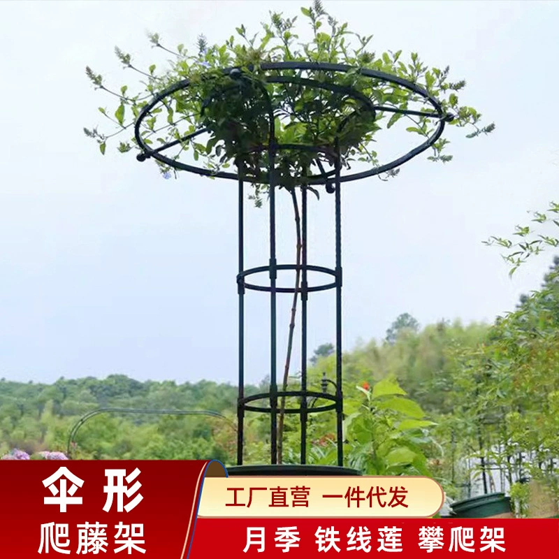Подставка для цветов для зонта, роза для скалолазания, пергола, климатис, кронштейн из кованого железа, балконная полка, двор, уличная рама для скалолазания с розами