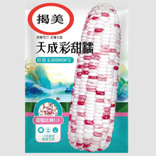 天成彩甜糯玉米種子 雜交一代鮮食玉米 甜加糯型25克裝