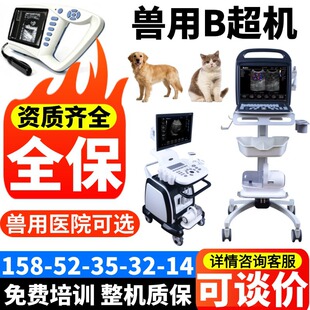 �F��B���x�� ����B���C�r�� �iţ��؈��B���y�Ѓx �F��B���C�S��