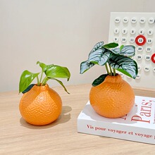 ����С��ƿ�������[���͏d�廨ˮ��ֲ���r���G�}�������Gֲ