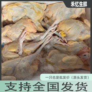 �������������S��ɽɢ�B���u���u�Ӱ����P���r���a��ֻ�ߵ��u����