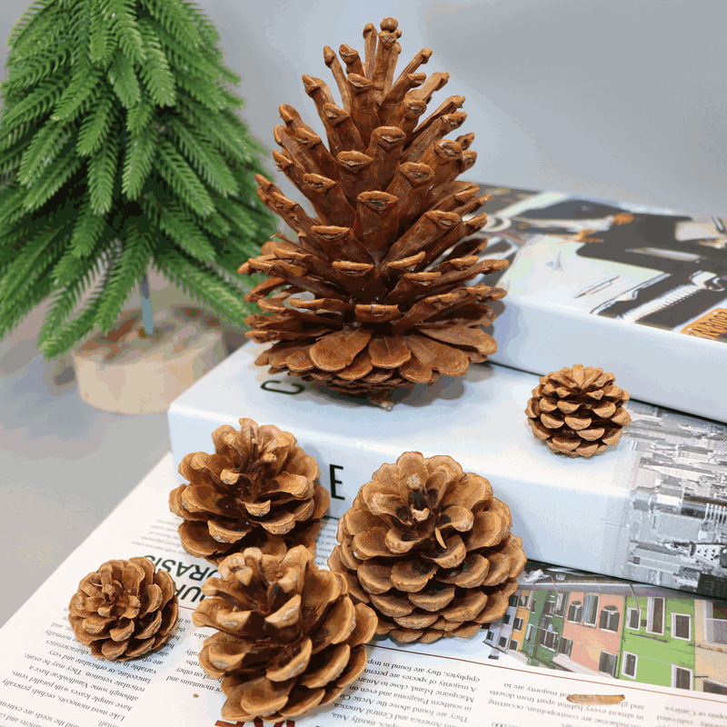 1-15cm pine cone Christmas decorations pendant creative ornaments shooting props dried flower pine cone handmade DIY material