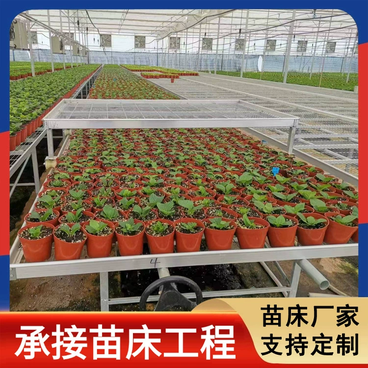 Сетка для рассады на заказ от производителя, оцинкованная, для теплиц, фиксированная, для выращивания рассады, мобильная грядка для цветов