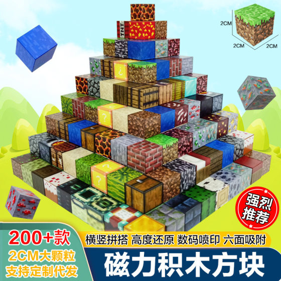 Assembled Magnetic Building Block Square 2cm Children's Educational DIY Build Magnetic MC World My Surrounding Toy suit