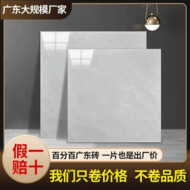 地面砖;陶瓷;内墙砖