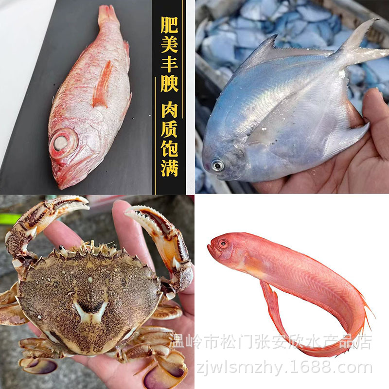 红带鱼黑喉鱼餐饮烧烤店用银鲳鱼冷冻新鲜带鱼速冻小黄鱼海鲜批发