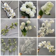 ��ɫ���滨��Y���öY��·���廨ɭϵ��c��̨�b�����Ż�����