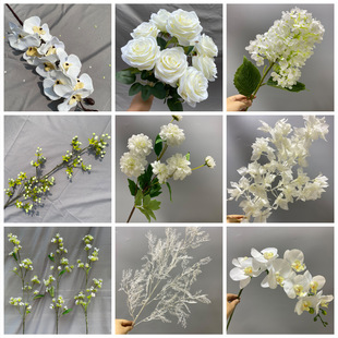 ��ɫ���滨��Y���öY��·���廨ɭϵ��c��̨�b�����Ż�����