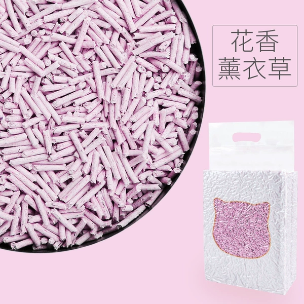 (None LOGO) Tofu Cat Salon (Purple Lavender)