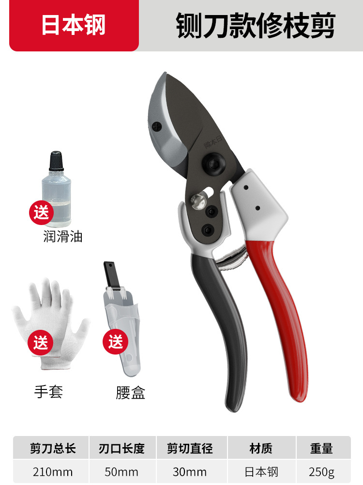 Tijeras de rama de fruta Yizili tijeras de jardín de primavera SK5 hoja de acero tijeras de jardinería doméstica tijeras de podar Bonsai de jardín al por mayor