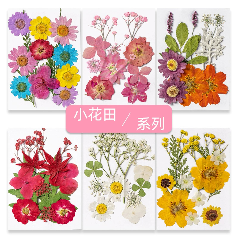 Трансграничные специально для сушеных цветов материал для тиснения сумки оптом цветочные закладки настоящие листья образцы растений ручная работа Макияж лица
