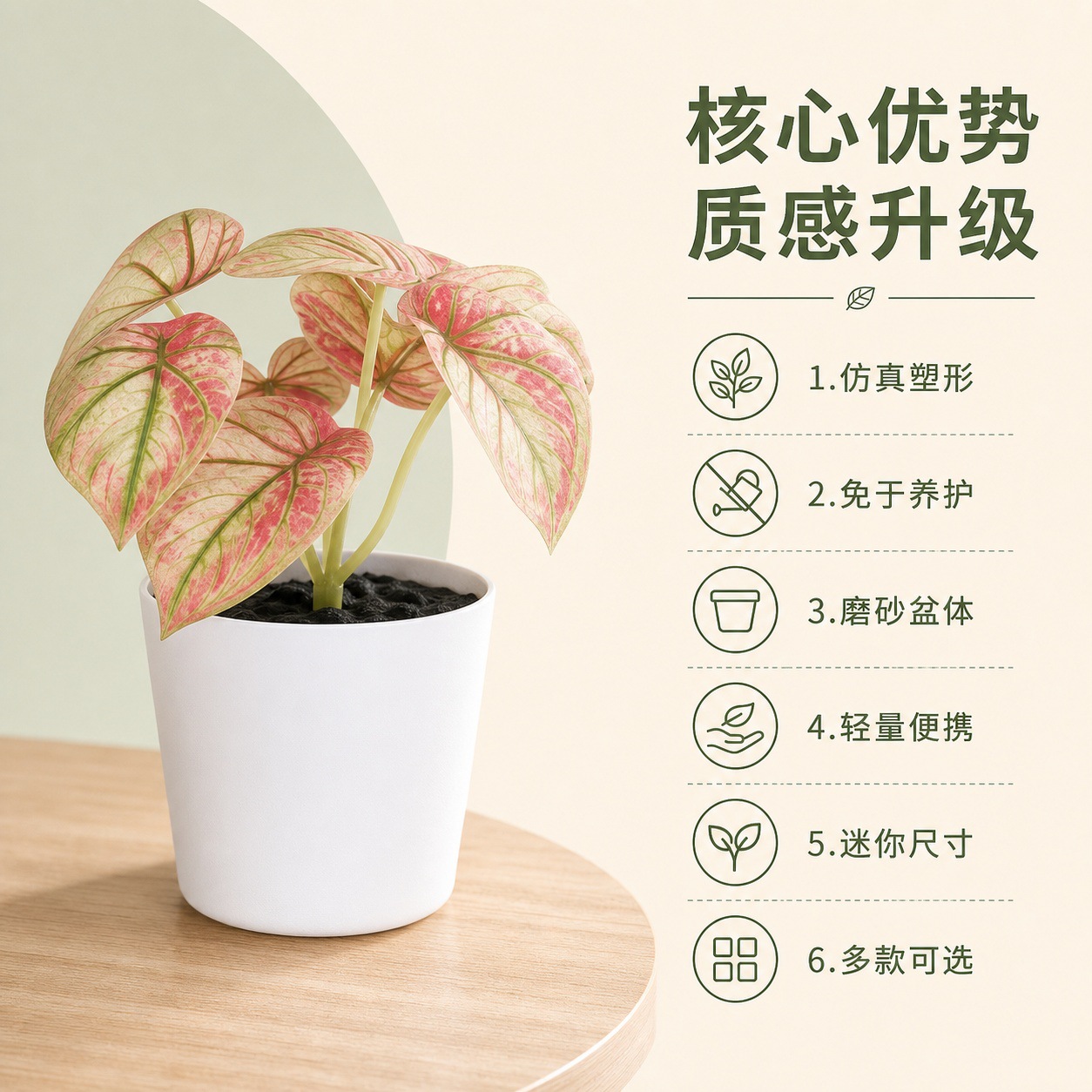 1203塑料详情页 (3).jpg