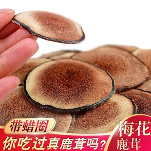 ¹��Ƭ�׷�Ƭ�ݾ��Ҝ���ƬϞƬ�ݾƲ���