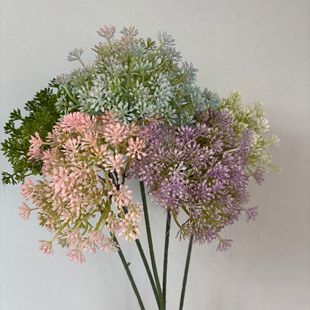 ����Ұ�˻��ѹ�Ӣ���»�Y���������ò廨�ٻ��҃ȼҾ��b��滨